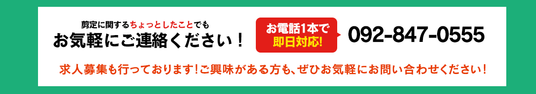 剪定に関するちょっとしたことでも、お気軽にご連絡ください。